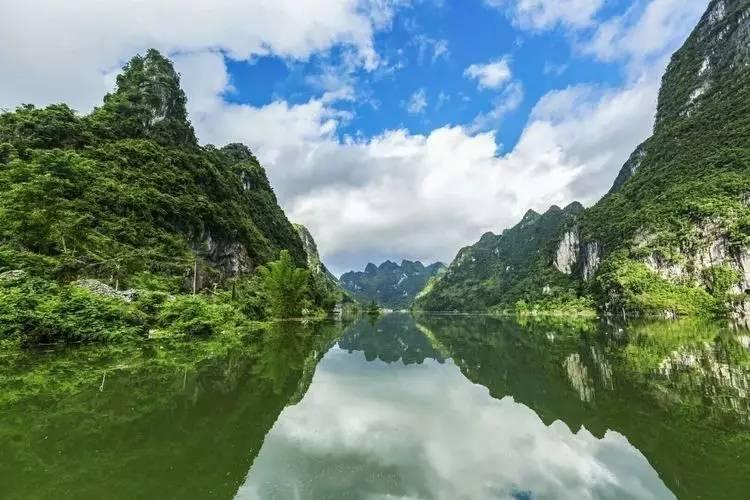 燃烧的蔬菜4新鲜战队